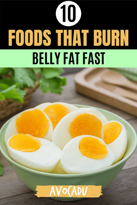 Belly Fat Foods, Best Smoothie, Best Fat Burning Foods, Belly Fat Diet, Makanan Diet, Diet Vegetarian, Stomach Fat, Healthy Smoothie, Diet Keto