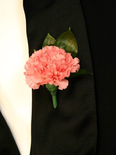 Carnation Boutonniere Wedding, Pink And Black Boutonniere, Black Suit Pink Boutonniere, Carnation Corsage, Hot Pink And Black Boutonniere, Pink Carnation Boutonniere, Carnation Boutonniere, Pink Carnations, Flowers Gifts