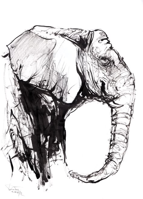 Animals Ink Drawing, Elephant Ink Drawing, Loose Ink Sketches, Ink Sketches Sketchbooks, Ink Brush Drawing, Scribble Drawings, Ink Animals, Elephant Sketch, Black Ink Art