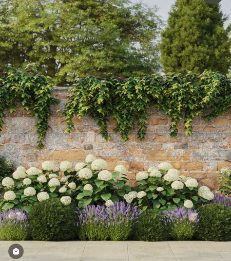 European Yard Landscaping, Boxwood Landscaping Front Yard Entrance, Soto Gardens, Garden Wall Ideas Decorative, Formal Front Garden, Cotswold Garden, Windowsill Plants, Bamboo In Pots, Front Gardens