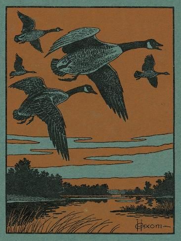 size: 12x9in Art Print: Nature Magazine - View of a Flock of Canadian Geese in Flight, c.1952 by Lantern Press : Artists Dont Feed The Bears, Nature Magazine, Canadian Geese, Canadian Goose, Matchbook Art, Linocut Art, Art Print Display, Print Inspiration, Support Artists