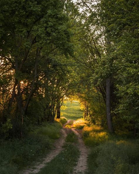 Pretty Landscapes, Spring Aesthetic, Jolie Photo, Alam Yang Indah, Nature Aesthetic, Pretty Places, In The Forest, Green Aesthetic, Country Life