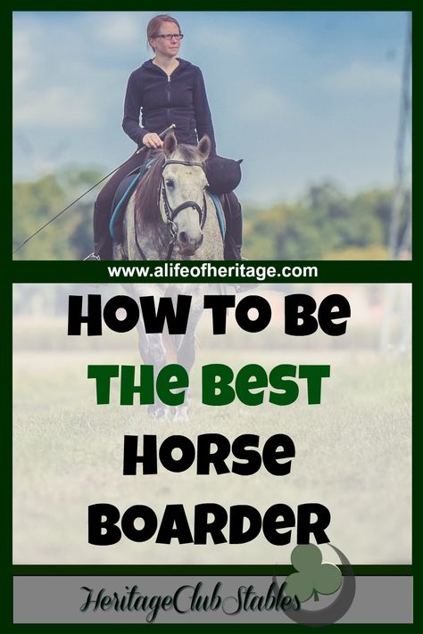 Horse Activities, Stable Management, Horse Camping, Horse Business, Horse Grooming Kit, Therapeutic Riding, Training Horses, Boarding Facility, Horse Ownership