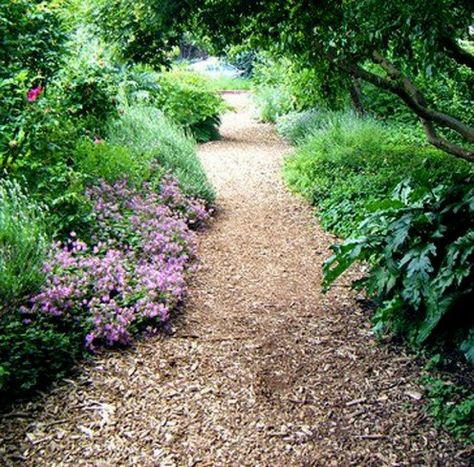 A mulch path using plantings as edging. Backyard Trails Pathways, Wood Chips Garden, Backyard Path, Cap Inspiration, Residential Garden, Garden Pathways, Pergola Pictures, Residential Landscaping, Walkways Paths