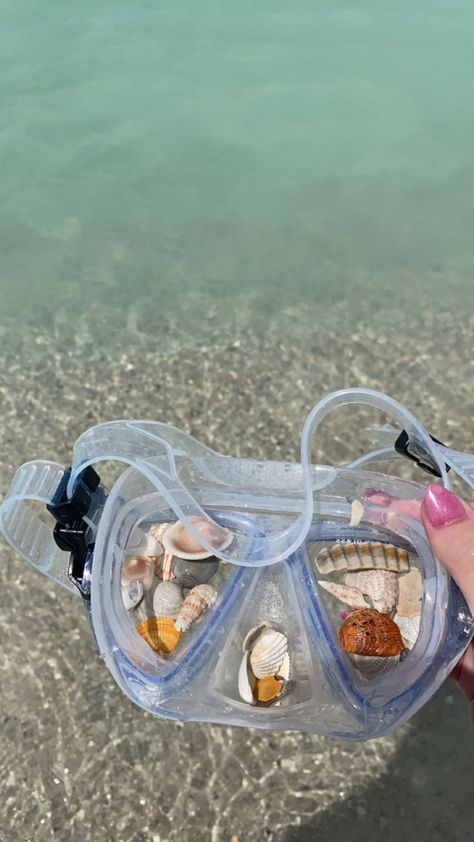 Shells In Goggles, Sealife Aesthetics, Aesthetic Goggles, Goggles Aesthetic, Beach Goggles, Seashells Aesthetic, Water Girl, Swimming Glasses, Water Aesthetic