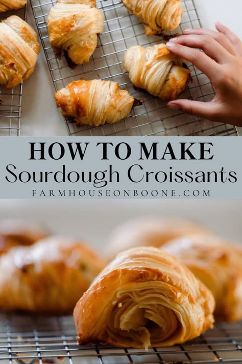 Farmhouse On Boone Croissants, Sourdough Discard Cresent Rolls, Sourdough Recipes Farmhouse On Boone, Sour Dough Sandwich Bread Recipe, Sourdough Discard Crossaints, Sourdough Crossaints, Sourdough Discard Pastry, Sourdough Bread Fillings, Croissant Recipe Sourdough