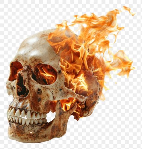 Pathfinder Witch, Skull On Fire, Fire Png, Fire Skull, Skull Anatomy, Flame Skull, Flaming Skull, Skull Fire, Free Png