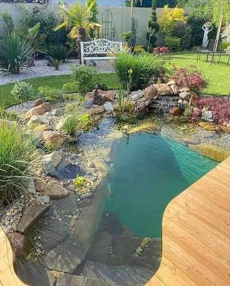 Fairy Garden Fountain, Diy Ponds Backyard, Swimming Ponds, Diy Water Feature, Urban Homestead, Turtle Habitat, Natural Swimming Ponds, Garden Pond Design, Diy Pond