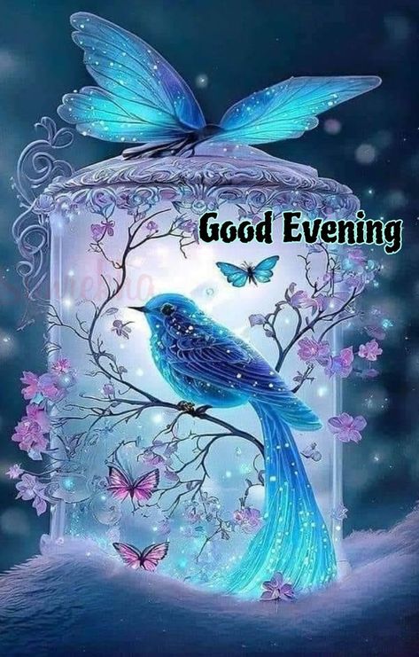 Lovely Evening Wishes, Enjoy Your Evening Gif, Good Evening Winter Images, Happy Evening Images, Good Evening Blessings, Evening Status, Good Evening Gif, Good Evening Quotes, Message Pictures