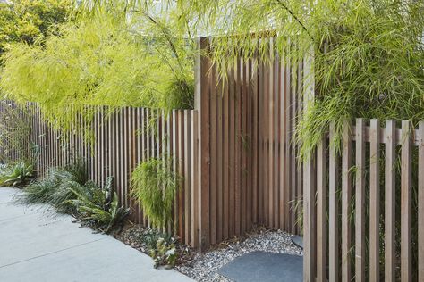 Modern Fence Design, House Fence Design, Front Fence, Pool Filter, Front Yard Fence, Fall 23, Modern Fence, Entry Gates, Backyard Fences