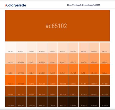 Color Palette Orange, Pantone Color Book, Space Information, Pantone Orange, Orange Color Palette, Tennessee Orange, Hexadecimal Color, Hex Color, Orange Color Palettes