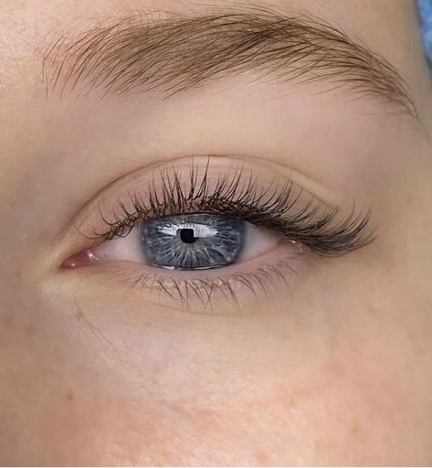 Natural Fake Eyelashes Falsies, Super Natural Eyelash Extensions, Classic Wet Look Lash Extensions, Natural Eye Lash Extensions, Light Wispy Eyelash Extensions, Short Natural Lash Extensions, Natural Looking Lash Extensions, Natural Fake Lashes, Single Lash Extensions