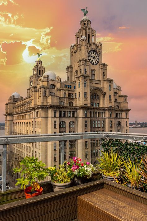 Liver Building Liverpool, Success Core, Liverpool Buildings, Liverpool Photography, Pink Manifestation, Liverpool Photos, Liver Bird, Red Hotel, Liver Building