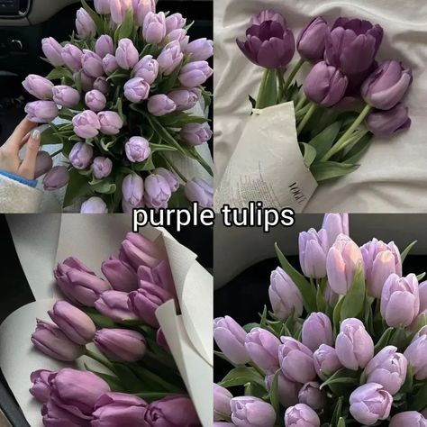 which one do you choose? ♡ follow @jeonrencia for more! 🌷 ✧₊˚. Beautiful Flower Gardens, Pretty Flowers Pictures, Luxury Flower Bouquets, Flora Flowers, Boquette Flowers, Nothing But Flowers, Purple Tulips, Garden Journal, Flower Gardens