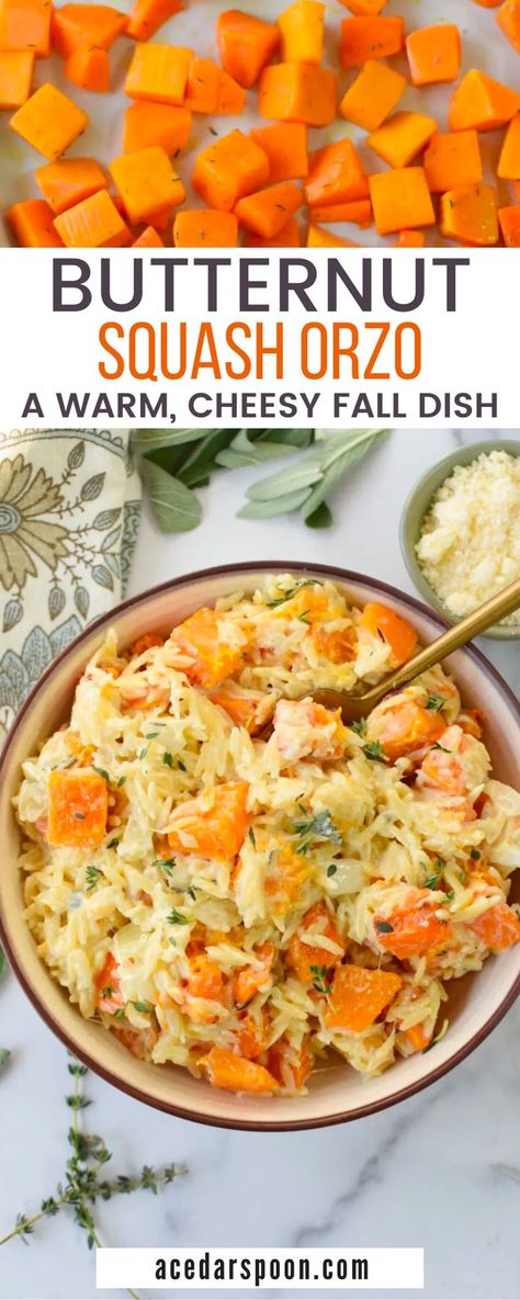 Butternut Squash And Orzo, Chopped Butternut Squash Recipes, Creamy Butternut Squash Orzo, Cheesy Butternut Squash Soup, Butternut Squash And Orzo Recipes, Orzo Butternut Squash Recipe, Butternut Squash Orzo Recipes, Fall Orzo Recipes, Fall Butternut Squash Recipes