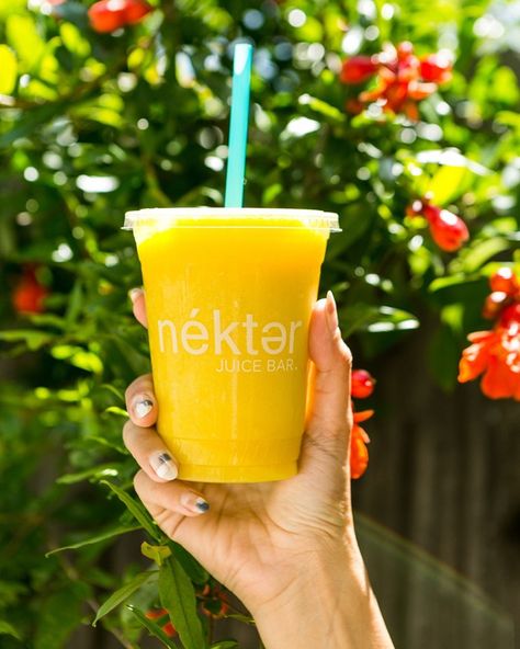 Juice Photography Lifestyle, Juice Bar Photography, Smoothie Product Photography, Nekter Juice Bar, Smoothie Shop, Healthy Bars, Pink Bar, Smoothie Bar, Good Day Sunshine