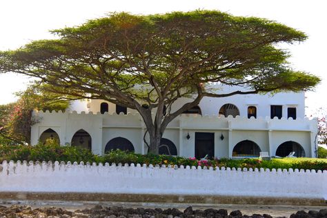 Lamu Architecture, Tanzania Architecture, Kenyan Houses, Lamu House, Swahili Chic, Lutyens Delhi, Swahili Architecture, Swahili Culture, Swahili Coast