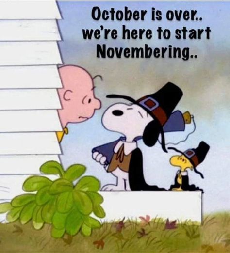 Month Of Gratitude, Welcome November, Miss Images, Happy November, Browns Fans, Charlie Brown And Snoopy, Peanuts Gang, Holiday Joy, Make You Smile