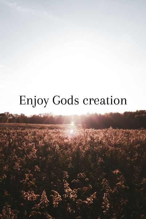 God’s Creation Quotes, God And Nature Quotes, Gods Creation Quotes Nature, Gods Creation Quotes, God's Creation Quotes Nature, Bible Verse Thankful, God In Nature, Quotes Bible Verse, Creation Quotes