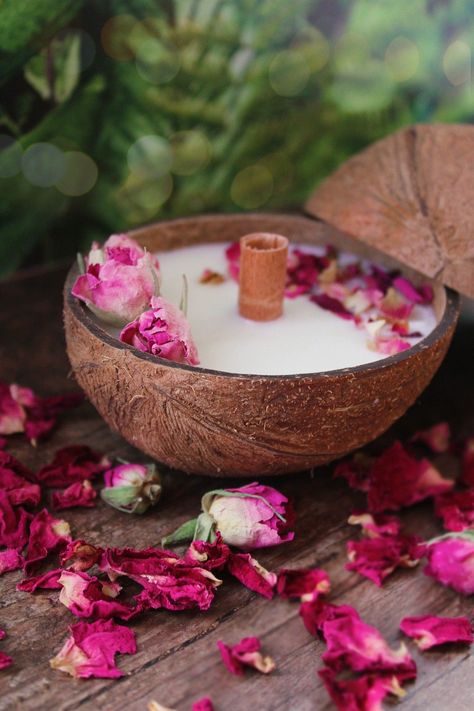 Soy candle in coconut Coconut Candles Diy, Organic Candles Diy, Diy Coconut Candle, Shell Fountain, Indian Aesthetic Wallpaper, Palm Aesthetic, Tea Cup Ideas, Shell Aesthetic, Making Wax Melts