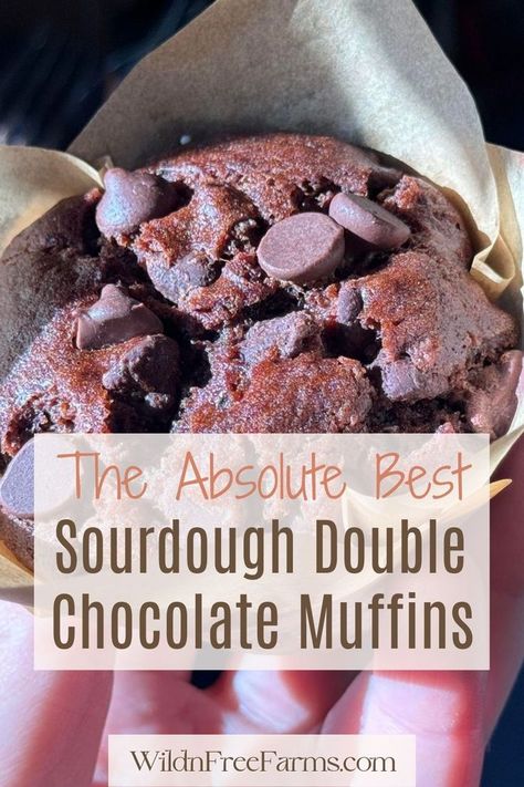 double chocolate sourdough muffins Peanut Butter Sourdough, Chocolate Peanut Butter Muffins, Chocolate Sourdough, Sourdough Muffins, Delicious Muffins, Chocolate Zucchini Muffins, Peanut Butter Muffins, Sourdough Starter Discard Recipe, Double Chocolate Muffins