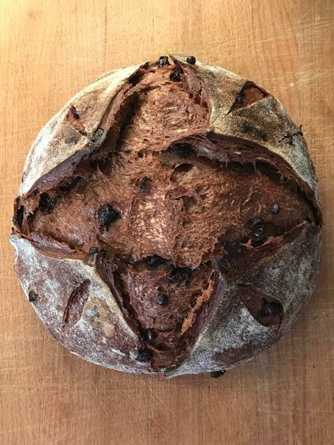 Chocolate Cherry Sourdough — No Knead to Worry Cherry Sourdough, Chocolate Sourdough Bread, Cherry Bread Recipe, Homemade Sourdough Bread Recipes, Chocolate Dough, Chocolate Sourdough, Gluten Free Sourdough Starter, Gluten Free Sourdough Bread, Cherry Bread