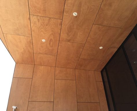 Plywood Wall Paneling, Plywood Ceiling, Plywood Wall, Wood Siding Exterior, Exterior Wall Cladding, Plywood Interior, Shed Interior, Plywood Siding, Plywood Walls