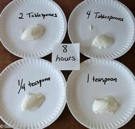 How Much Yogurt Starter Should You Use to Make Yogurt? Yogurt Starter, Yogurt Recipes Healthy, Homemade Yogurt Recipes, Diy Yogurt, Make Your Own Yogurt, Whipped Yogurt, Make Greek Yogurt, Instant Pot Yogurt, Homemade Greek Yogurt