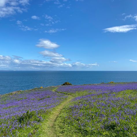 #fife #scotland Spring Scotland, Scotland Summer, Scotland Aesthetic, Fife Coastal Path, Fife Scotland, Countries To Visit, Gap Year, Summer 24, Spring Garden