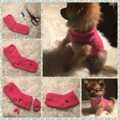 03-dic-2015 - How to make a sweater for your puppy out of a sock! Diy Dog Sweater, Kitten Clothes, Kitten Sweater, Puppy Diy, Chihuahua Clothes, Diy Dog Toys, Dog Sweater Pattern, Small Dog Sweaters, Dog Clothes Diy