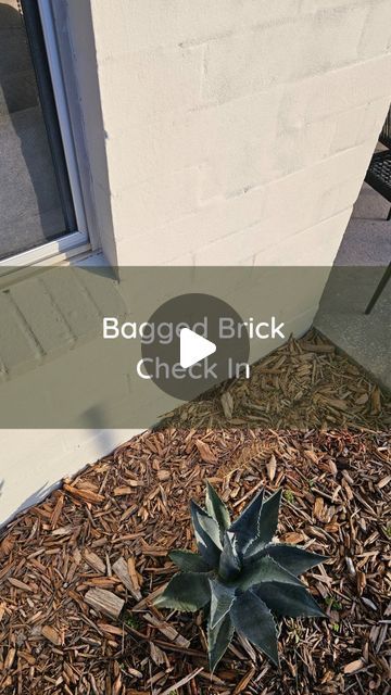 Katrina + Jesse | Budget Reno Tips + Floorplan Design on Instagram: "All it took was some sand, cement, water + plasticiser to transform our grotty 70s brick. 

An easy + cheap DIY that will pair beautifully with our black clad extension, new windows + real bluestone crazy pave. 

▪️▪️▪️

#baggedbrick #renderedhouse #render #diy #budgetrenotips #facade #facademakeover" Diy Rendering Brick, Clad Extension, Crazy Pave, Reno Tips, New Windows, Easy Cheap, Red House, Cheap Diy, Cement