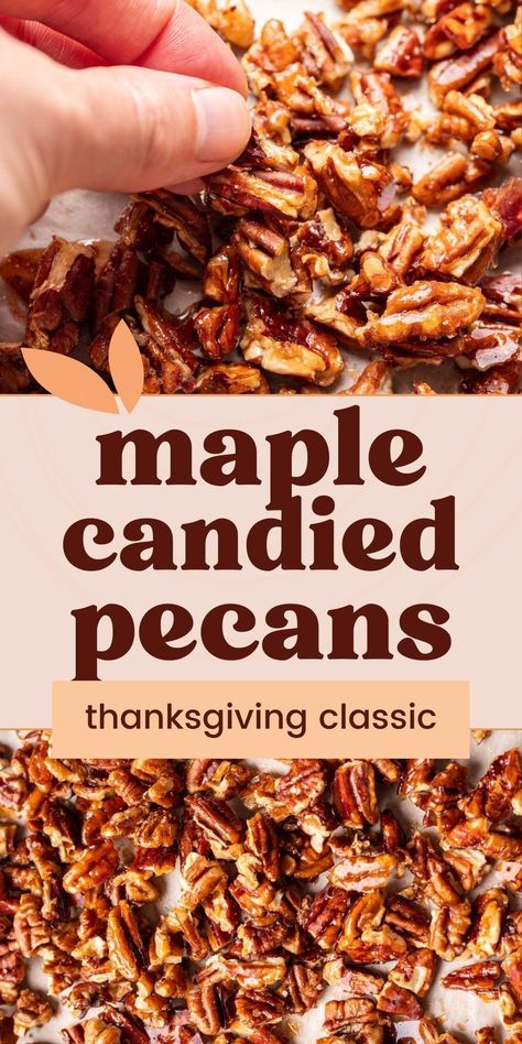 Discover how to make Maple Glazed Pecans from scratch with just 3 ingredients! They add a sweet, nutty crunch to salads, desserts, breakfast recipes, or holiday charcuterie boards. Glazed Nuts Recipe, Glazed Pecans Recipe, Pie Breakfast, Holiday Charcuterie, Vegetarian Thanksgiving Recipes, Glazed Pecans, Vegetarian Thanksgiving, Holiday Favorite Recipes, Roasted Pecans