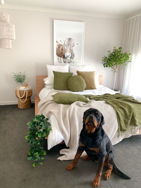 Beautiful olive green bedroom design with soft crisp white Olive Green And Off White Bedroom, Olive Green Gold Bedroom, Olive Green And White Bedroom Ideas, White Comforter With Green Accents, White And Olive Green Bedroom, Olive Green And Cream Bedroom, Olive Green Bedroom Color Scheme, Brown And Green Bedroom, Cream And Gold Bedroom