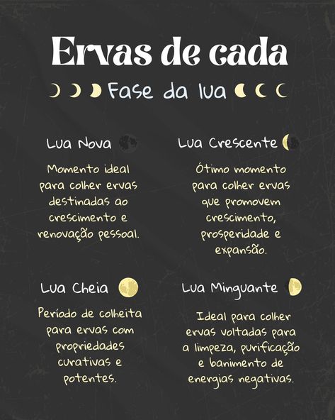 As ervas e a Lua estão interligadas, cada fase lunar oferece uma oportunidade única para trabalhar com esses presentes da natureza. Qual fase lunar você mais se conecta? Compartilhe conosco nos comentários! 🌿🌕✨ #Ervas #FasesDaLua #MagiaNatural #Energia #ConexãoComANatureza #Instituto Magia Das Ervas, Simple Things, Reiki, Aromatherapy, Witch, Spirituality, Bullet Journal, Soap, Nature