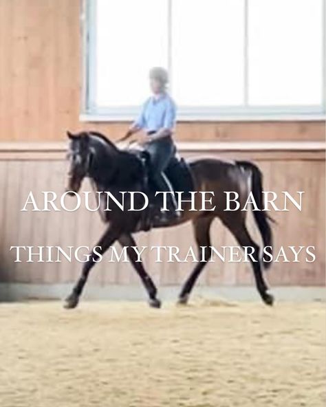 The rider has no ceiling! Think of your posture and energy moving away from the horse to the sky! This gets the rider out of the horses’ way! It creates room for the horses’ front end to come higher, making room for the horses’ hind end to engage and come through the step. (there is more to engagement but this is just one aid in the process). When the rider has a ceiling in posture and energy they cut the horses step short resulting in a horse not being engaged. . I love my trainer and the ... Being Engaged, Front End, The Horse, Making Room, A Horse, The Sky, Thinking Of You, Horses, Ceiling