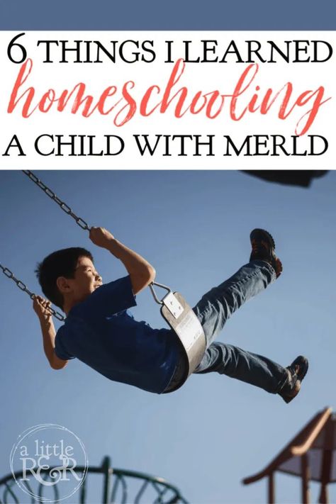 MERLD stands for Mixed Expressive-Receptive Language Disorder. Here are six things I've learned homeschooling a child with MERLD. #alittlerandr #MERLD #langaugedisorder #homeschool #specialneedshomeschooling Mixed Receptive Expressive Disorder, Mixed Expressive Receptive Language Disorder, Adoption Books, Maths Day, For The Glory Of God, Language Delay, Homeschooling Tips, Language Disorders, Social Cues