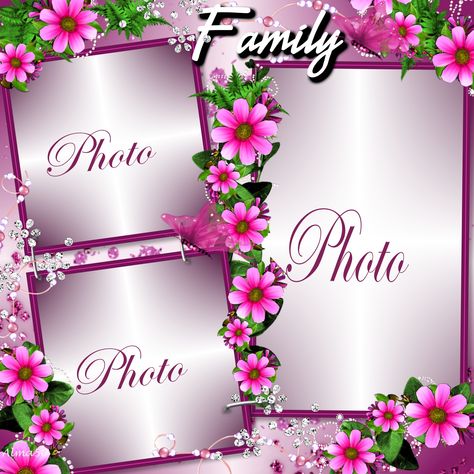 Family Frame #Alma50 #pictureFrames Family Photo Frames Collage, Photoshop Wallpapers, Monthly Celebration, Family Frame, Foto Frame, Flower Picture Frames, Family Picture Frames, Frame Download, Girly Frame