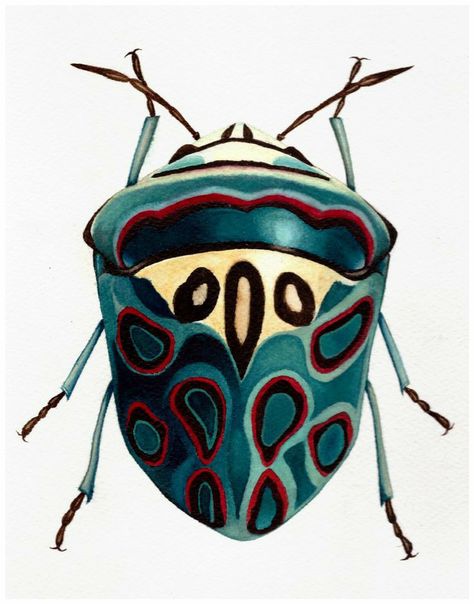 Picasso Bug, Beetle Art, Green Beetle, Cool Insects, Bug Print, Beetle Insect, Cool Bugs, Bug Art, Beautiful Bugs