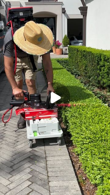 Tools Obsession on Instagram: "Boxwood trimming level 3000 😉😉😉

KC200.9
Kress Commercial 60 V 25” hedge trimmer

#tools 
#tool 
#yard 
#yardwork 
#boxwood 
#landscapephotography 
#landscape 
#triming 
#cordless 
#batteries 
#newtool 
#tip 
#tips" Boxwood Hedge Landscaping, Low Hedges Landscaping, How To Trim Boxwood Bushes, Boxwood Hedge Front Yard, Boxwood Trimming, Boxwood Landscaping Front Yard, Front Yard Hedges, Wintergreen Boxwood, Hedges Landscaping