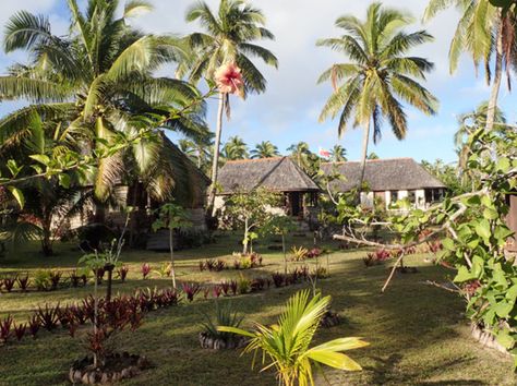 Tonga's heavenly Heilala Clouds Sunset, Ticket To Ride, Travel Locations, Gap Year, Tonga, Travel News, Main Character, Dream Destinations, The Scene