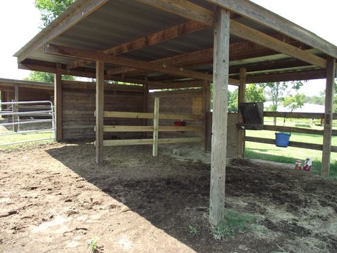 Best 25+ Field shelters ideas on Pinterest | Horse shelter, Firewood prices  and Cheap firewood Pasture Shelter, Horse Shelters, Field Shelters, Horse Shed, Livestock Shelter, Cow Pasture, Horse Barn Ideas Stables, Barn Stalls, Horse Shelter