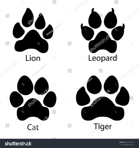 Different footprints of big cats. Leopard, lion, tiger paws set illustration #Ad , #Sponsored, #cats#Leopard#footprints#big Lions Paw Tattoo, Lion Paw Tattoo, Tiger Paw Tattoo, Lion Footprint, Lion Paw Print, Leopard Paw Print, Dragon Tattoo Vector, Tiger Paws, Lion Paws