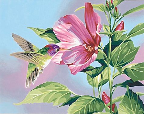 Amazon.com - Dimensions Needlecrafts Paintworks Paint By Number, Hibiscus Hummingbird - Childrens Paint By Number Kits Wild Flowers Illustration, Art For Therapy, Hummingbird Painting, Number Art, Old Orchard, Flowers Illustration, Diy Oils, Diamond Paintings, Puzzle Art