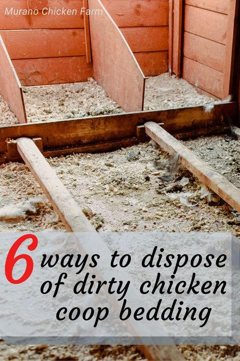 Dirty chicken coop bedding on the floor Diy Indoor Chicken Coop, Flooring For Chicken Coop, Rocks Around Chicken Coop, Chicken Run Bedding Ideas, Chicken Poop Chart, Chicken Coop Flooring Bedding, Chicken Coop Bedding Ideas, Chicken Bedding Ideas, Chicken Run Flooring Ideas