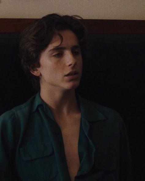 Timothée as Kyle in Lady Bird Kyle Scheible, Regulus Acturus Black, Timmy Turner, Septième Art, Timmy T, Regulus Black, Lady Bird, The Perfect Guy, Timothee Chalamet