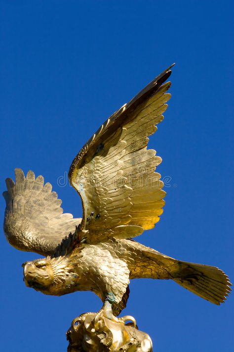 Harpy Bird, College Image, Golden Statue, Eagle Statue, Golden Bird, Gold Statue, Bird Logo Design, Eagle Art, Gold Animals