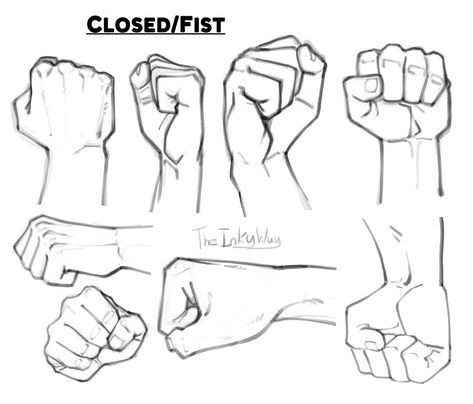 Hand References: Fists by TheInkyWay on DeviantArt Hand Gesture Drawing, Hand References, Easy Hand Drawings, Hand Gestures, Hand Drawing Reference, Hand Gesture, Hand Reference, Body Reference Drawing, Gesture Drawing