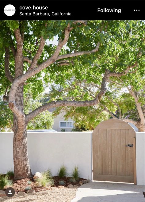 Smooth Stucco, Cove House, Courtyard Patio, Spanish Courtyard, Stucco Wall, Yard Gate, Outdoor Gate, Casa Clean, Stucco Homes