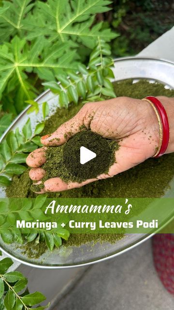 Rohini Deepthi Natti on Instagram: "Ammamma 👌

This video is a raw footage of mom making our favorite curry leaves moringa podi amidst power cuts and thunderstorms last evening 😊 Only love 💚💚💚

Mom has so many variations of green podi - main ingredient being curry leaves. This version is a combination of moringa leaves, curry leaves, black and white sesame seeds and some spices. Super nutritious and yum!

You can devour it with hot ghee rice or top your idlis, dosas, upma, salads, sandwiches and so on.

RECIPE 👇
Take equal quantities of Curry Leaves and Moringa Drumstick) Leaves. You can skip Moringa if you don't find.
Wash and dry the leaves.

Microwave them for 1-2 minutes as per the quantity and water content. You can SUNDRY them as well for a day if weather permits.

Roast 3 spoo Drumstick Leaves, Moringa Recipes, Ghee Rice, Leaves Black And White, Moringa Leaf Powder, Raw Footage, Moringa Leaves, Moringa Powder, Healthy Lunch Meal Prep