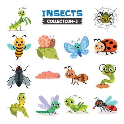 Free Sketch Insect Icon Vector 165209 Vector Art at Vecteezy Beetle Illustration, Types Of Bugs, Family Vector, Bug Collection, Insect Collection, Hand Drawn Vector Illustrations, Art Clip, Hand Drawn Vector, Patterns In Nature